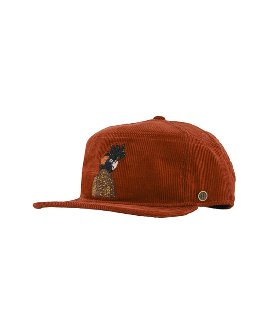 The Stash Cap - Corduroy - Cockatoo - Brown